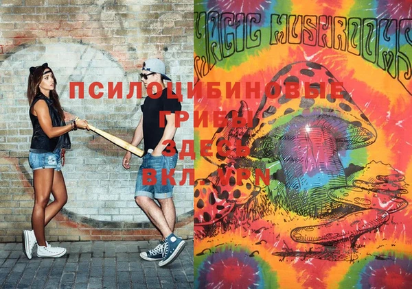 хмурый Волосово