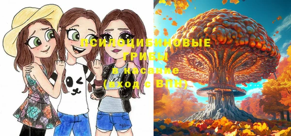 не бодяженный Волоколамск